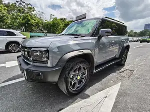 Jetour T2 2.0 Petrol AWD 2023 Gray
