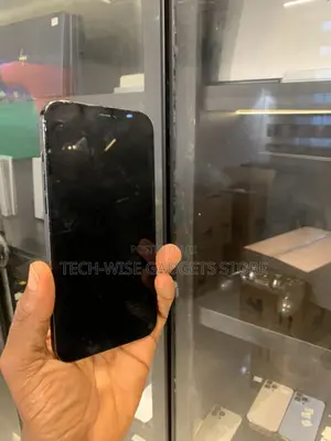 Apple iPhone 12 Pro Max 512 GB Blue