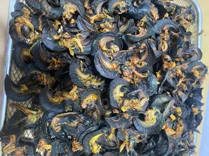 Cashew Nut Shell