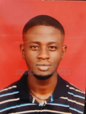 Chinedu Stan