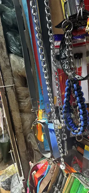 Dog Chains