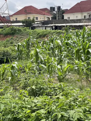F14 District Center Kubwa