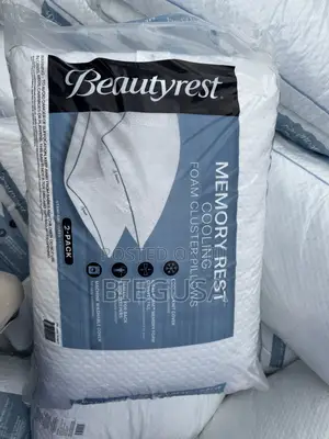 2 in 1 Foreign Memory Pillows