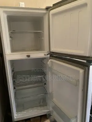 Haier Thermocool Double Door Refrigerator – Silver – 250L
