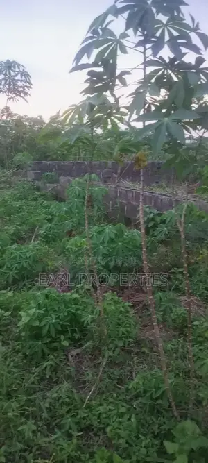 2 Plots of Land With 4 Bedroom Flat Laid Foundation