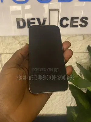Apple iPhone 13 Pro 256 GB Silver