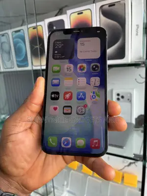 Apple iPhone 12 Pro Max 512 GB Blue