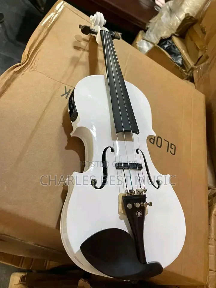 Violin Complete White Color