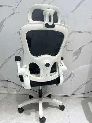 Ergonomic Swivel Chair