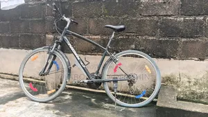 Hybrid Bicycle