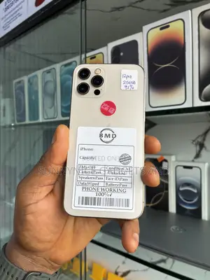 Apple iPhone 12 Pro 256 GB Gold