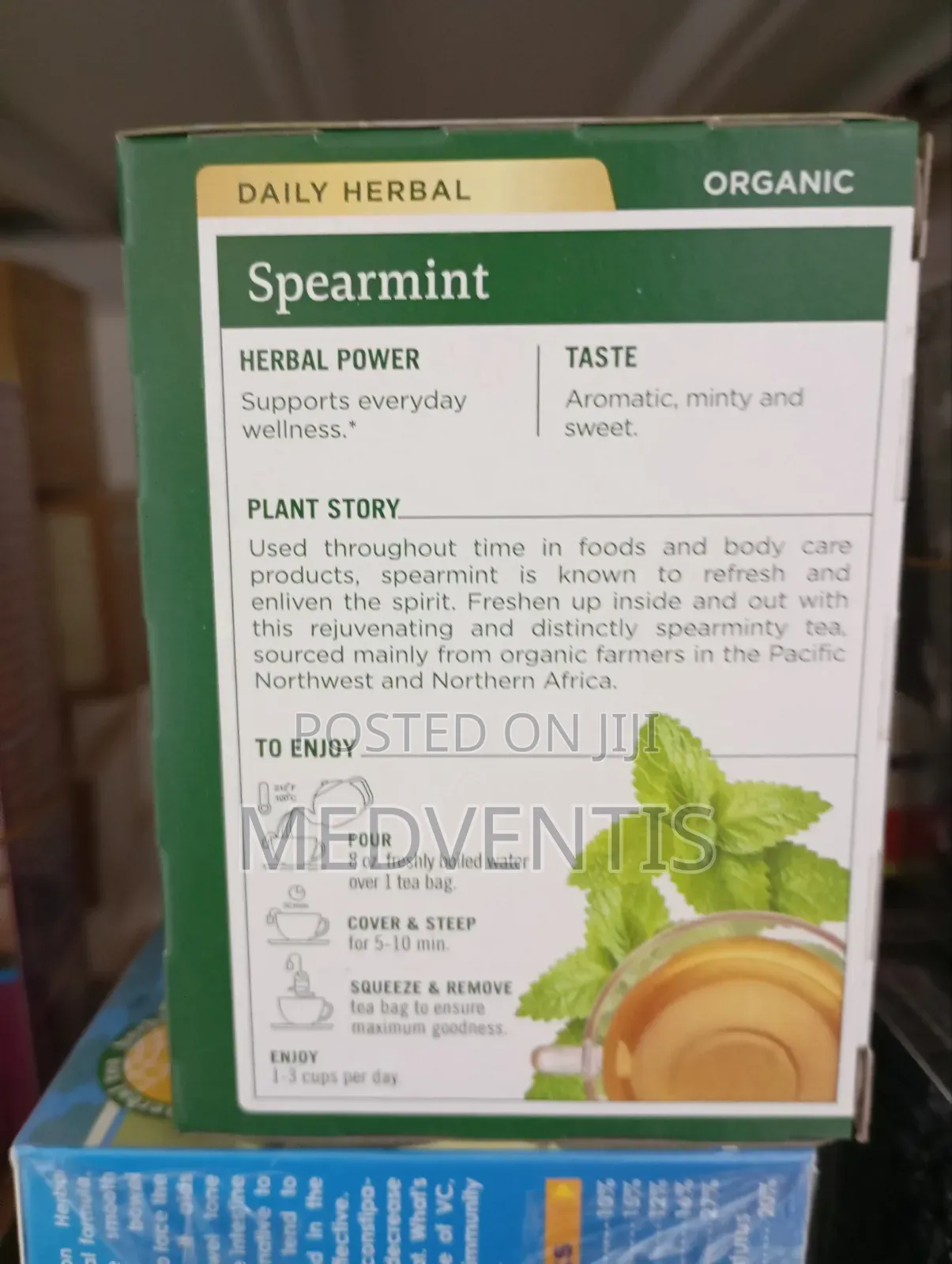 Spearmint Tea