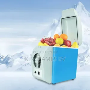 Portable Car Fridge Warmer – Smart Travel Storage Solution