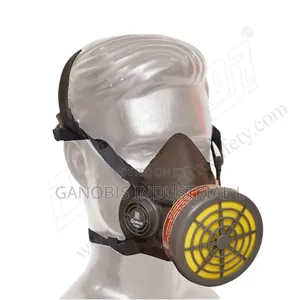 Dust Mask #200000 CTN