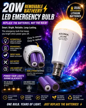 Rechargeable Led Bulb With Removable Battery