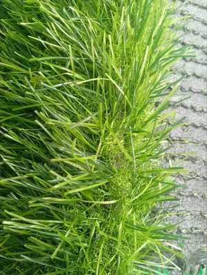 Grass Carpet With Super Quality 40mm