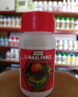 K-Maxi Force
