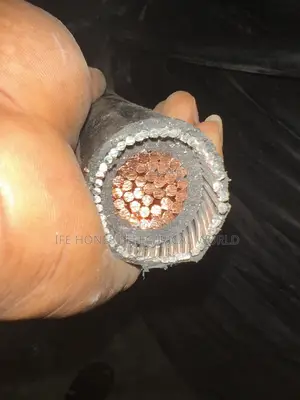300mmx1core Coleman Cable