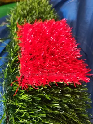 Artificial Grass 30mm