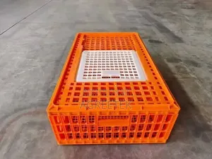 Bird Transport Crate