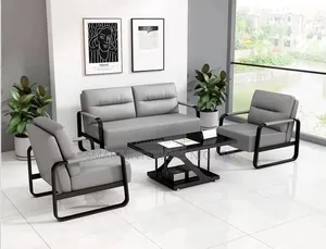 Mini Sofa (Perfect for a Spacious Office Home)
