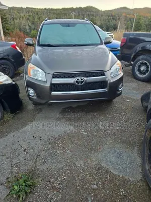 Toyota RAV4 2010 Gold