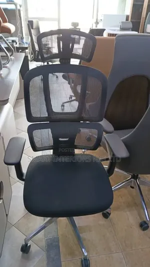 Executive Office Chair (Ergonomic)