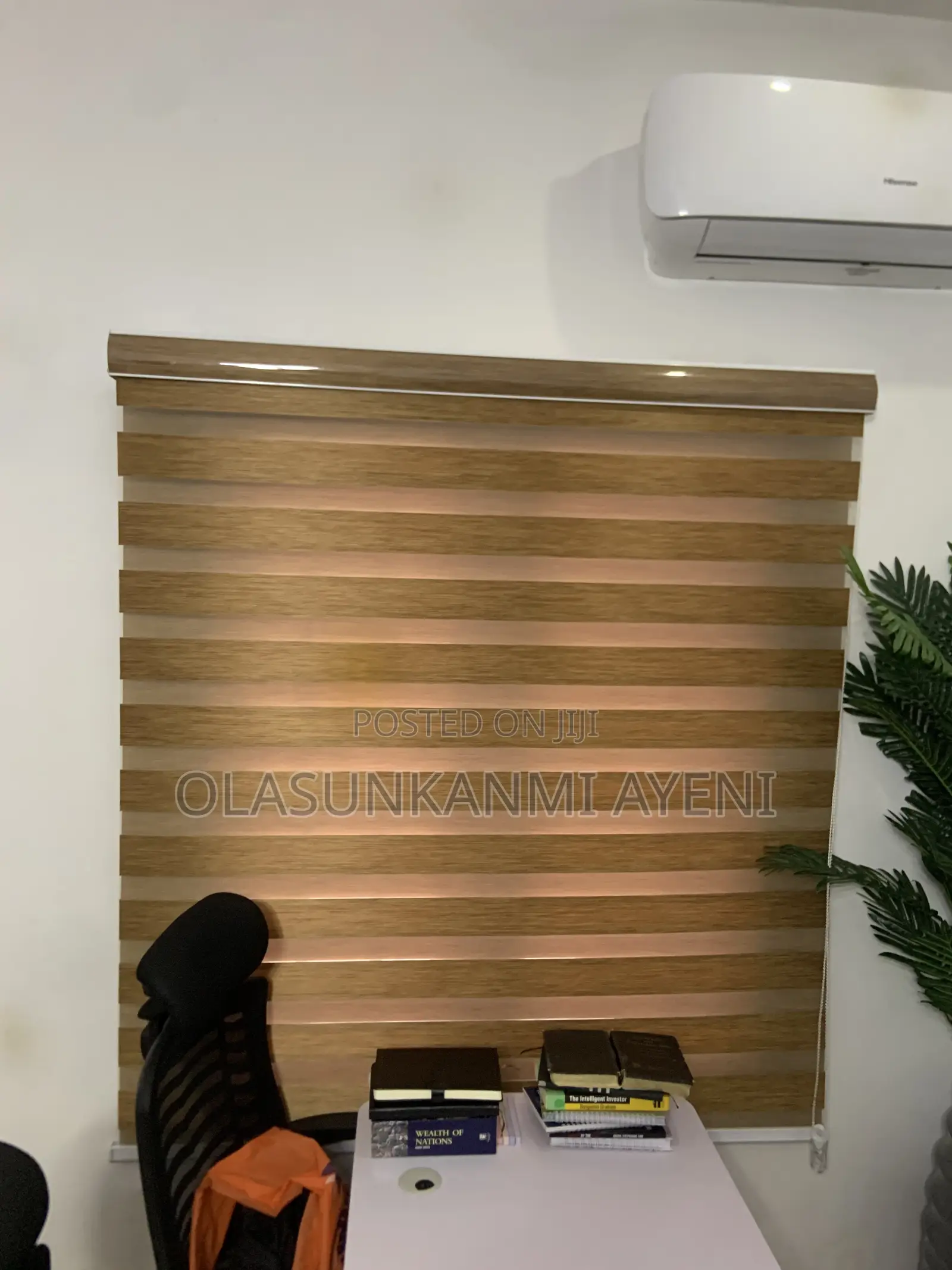 Window Blinds