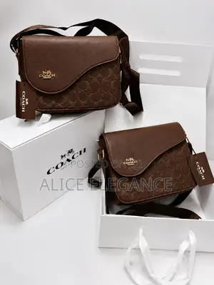 Luxury Coach Bag