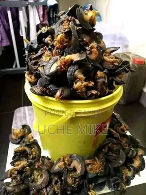 Seafood for Sale