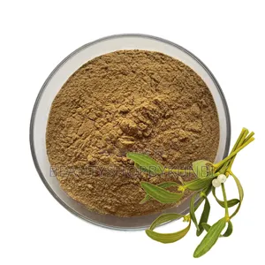 Mistletoe Leaf Powder 100g