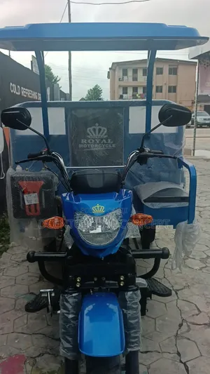 New Tricycle 2025 Blue
