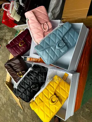 Luxury Coach Bag