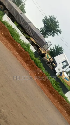 Dangote Cement Supply