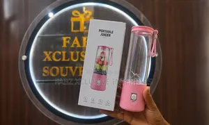 Mini Juicer