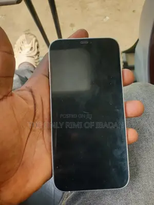 Apple iPhone 12 Pro Max 128 GB Silver