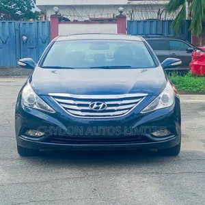 Hyundai Sonata 2011 Blue