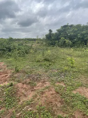 Genuine and Affordable Plots of Land for Sale at Olodu