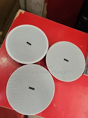 Tundra Ceiling Speaker Sound System