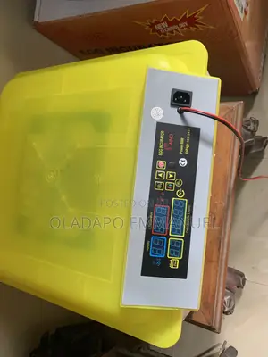 Egg Incubator