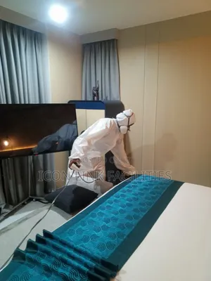 Fumigation and Bed Bugs Infestation