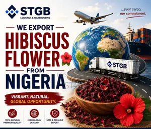 Hibiscus Flower Export From Nigeria – Fast Reliable