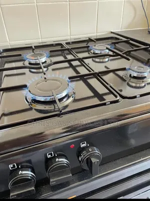 Gas Cooker Technician