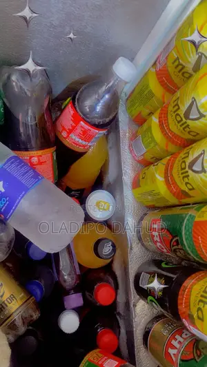 Catarware Deep Freezer