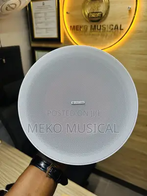 Ceiling Speaker 