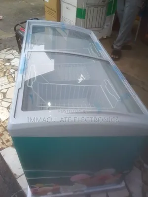 Snowsea Ice Cream Freezer 368liters