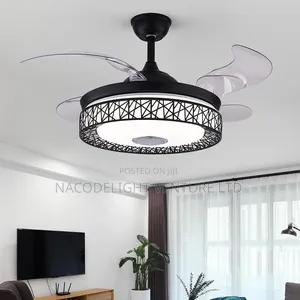 LED Multimedia Fan Chandelier Lighting