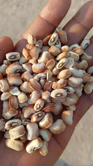 Premium Honey Beans