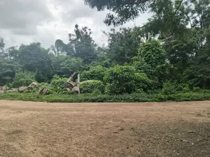 Land Plot for Sale