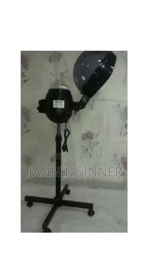 Hair Steamer